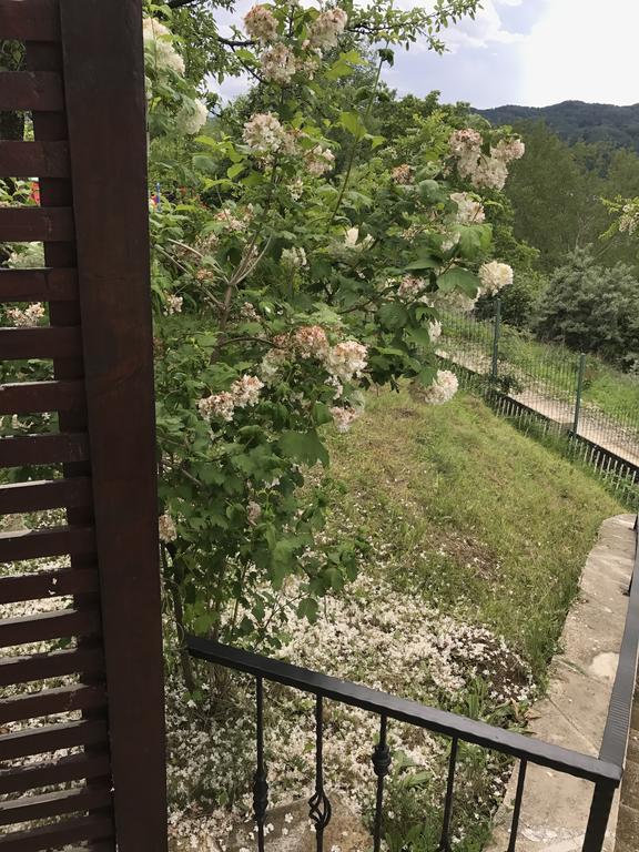 Cabana Breaza - Skyview Cottage Екстериор снимка